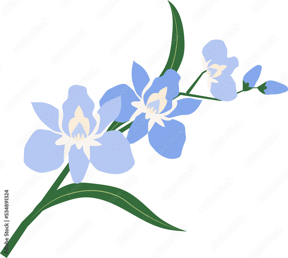 Obraz premium Cartoon botanic garden plant flower light blue orchid