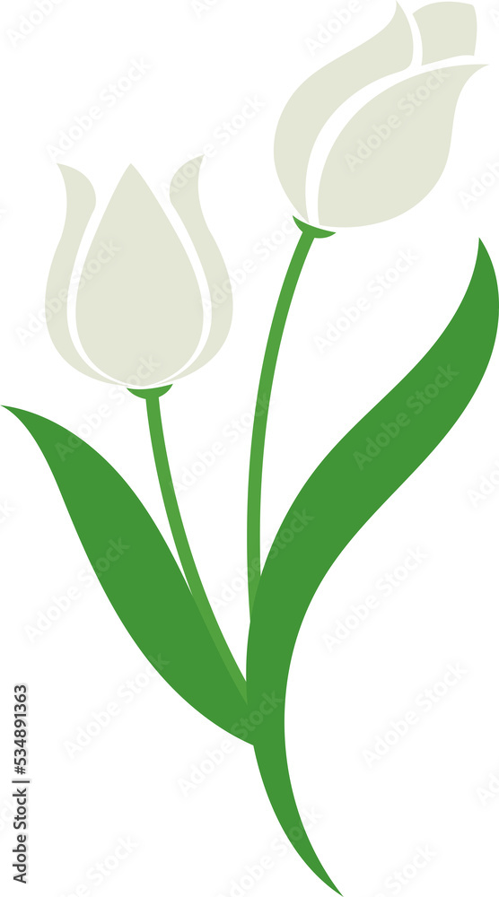 Cartoon botanic garden plant flower white tulip