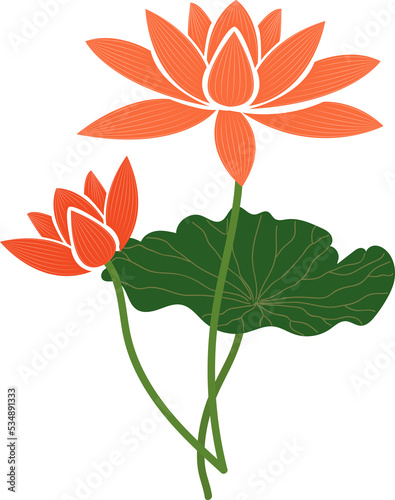 Cartoon botanic garden plant flower orange lotus