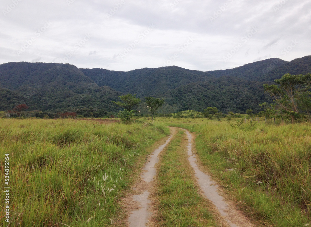 Country road in Bada Central Sulawesi Indonesia. High resolution image