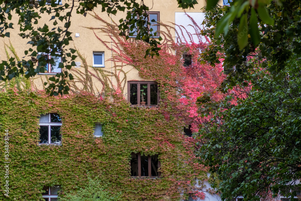 Autumn in Berlin