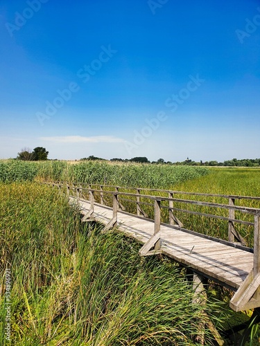 bridge over reeds and lake