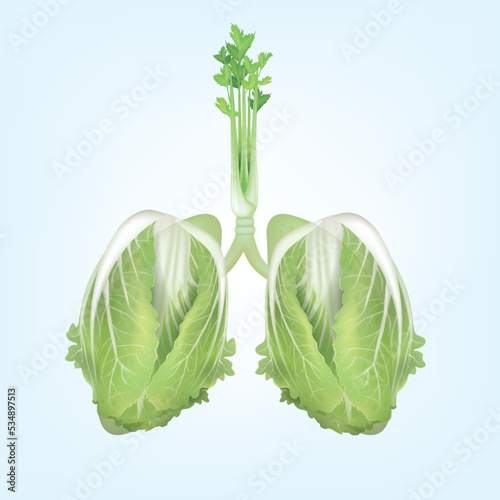 Conceptual image of green  shaped like human lungs, Green vegetable shaped in human lungs. Conceptual image,Human lungs. Respiratory system. Healthy lungs. Light in the form of a vegetable