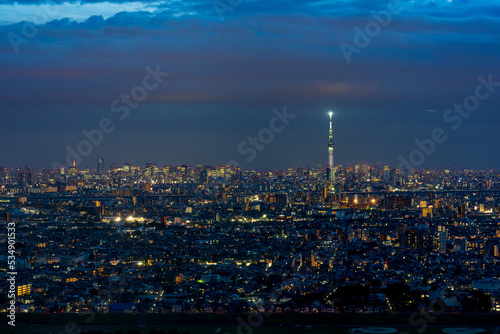 Greater Tokyo area night view with illuminated Tokyo Skytree at night.