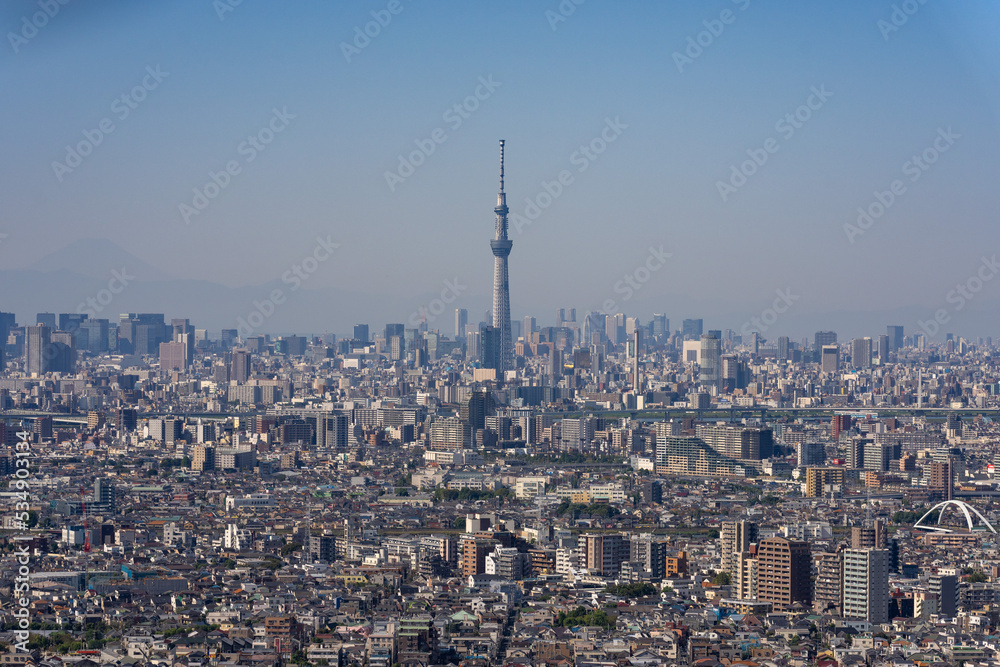 Greater Tokyo area city view with Tokyo Skytree at daytime.