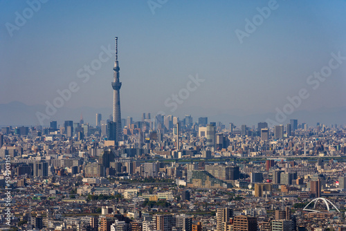 Greater Tokyo area city view with Tokyo Skytree at daytime.