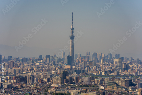 Greater Tokyo area city view with Tokyo Skytree at daytime. © hit1912