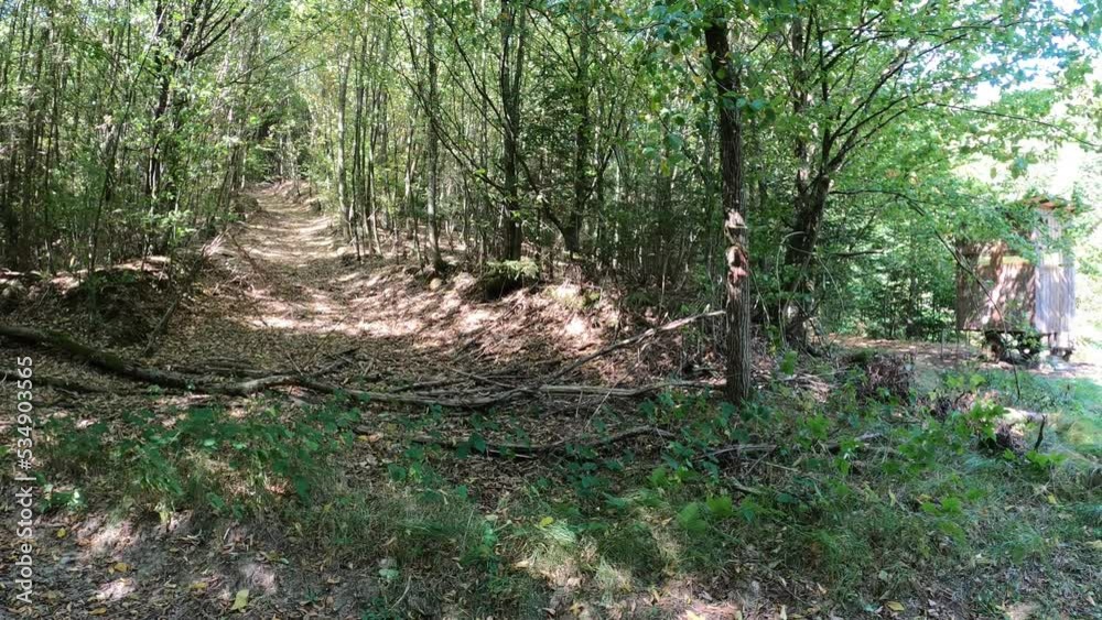 Country road in a wooded area with a field Country road in a wooded area with a field