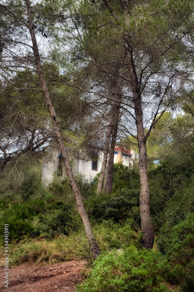 Fototapeta premium um rincón en Les Ferreres, Tarragona