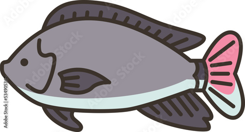tilapia icon
