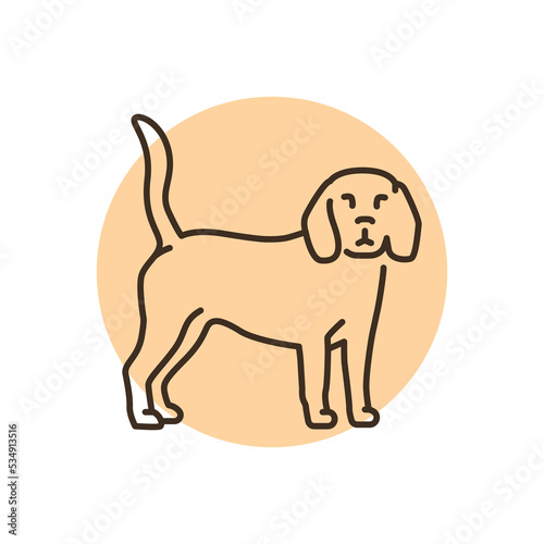 Beagle color line icon. Dog breed.