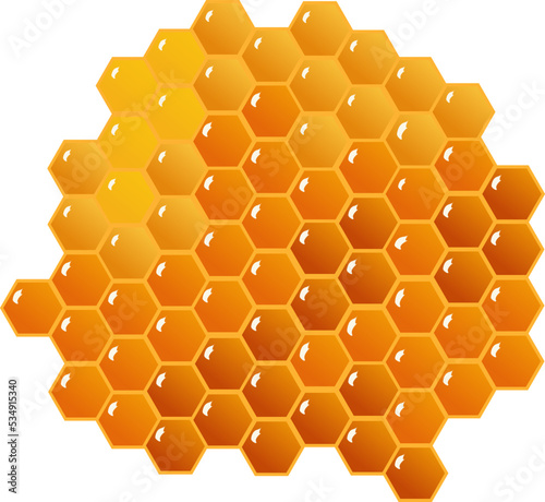 Vector honeycomb on isolated  white background. 