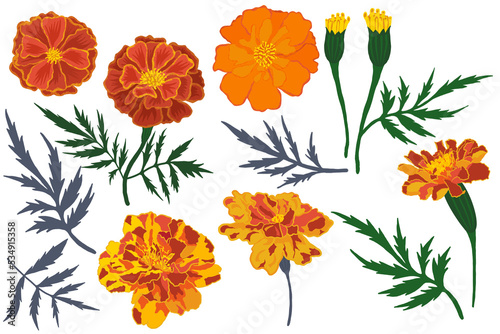 marigold flowers and leaves scrapbooking set png file photo