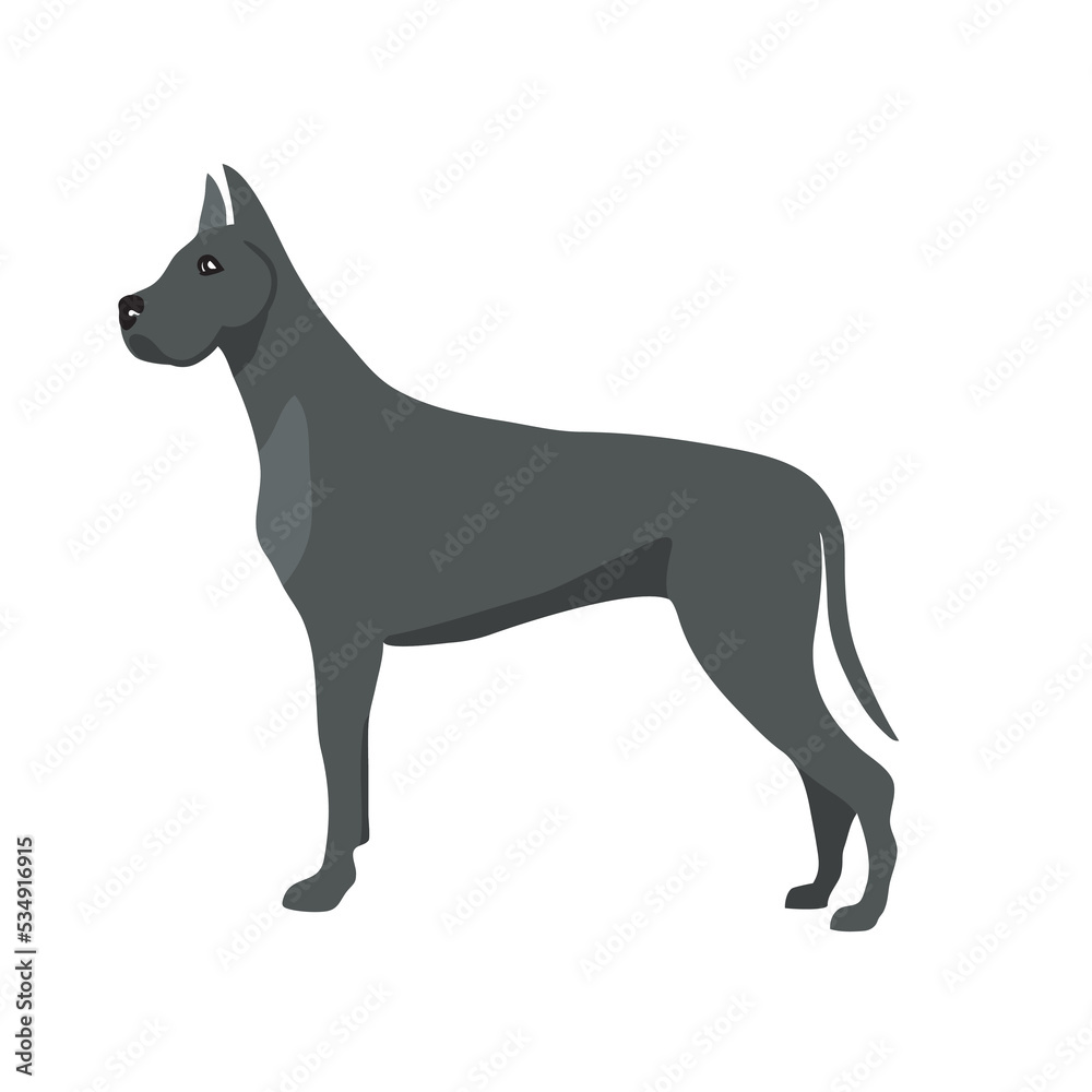 vector great dane strong brave breed pedigree big dog silhouette contour outline logo 