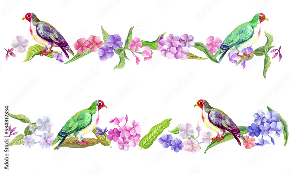  Watercolor border with summer flowers and birds. Transparent layer