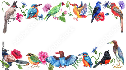  Watercolor border with summer flowers and birds. Transparent layer