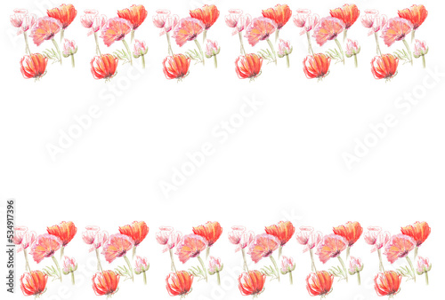  Watercolor border with summer flowers. Transparent layer © Elena