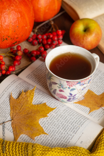  cup of tea cozy knitted sweater book yellow maple leaves aplles and pumpkin. Autumn mood. Autumn home comfort