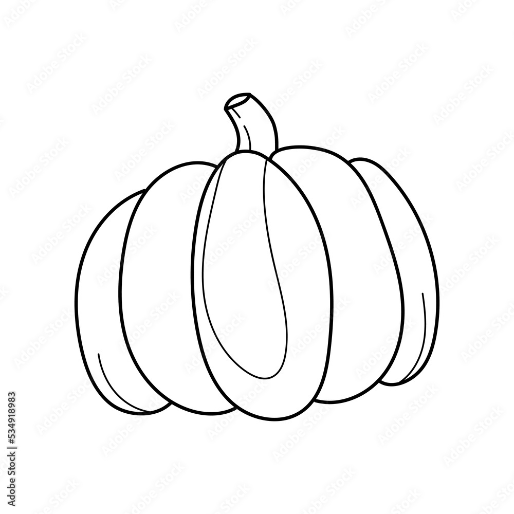 Vector cute black and white pumpkin. Autumn vegetable. Outline illustration. Traditional thanksgiving food or Halloween symbol