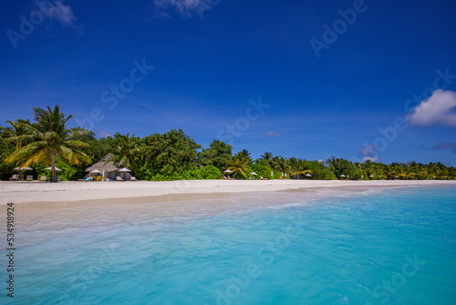 Majestic nature beach. Paradise island summer travel vacation sun sea sand sky coco palms landscape. Tranquil seascape, beautiful exotic outdoor scenic, white sand blue sea bay waves, sunny sky clouds © icemanphotos