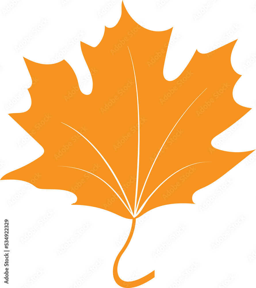 Obraz premium Maple leaf