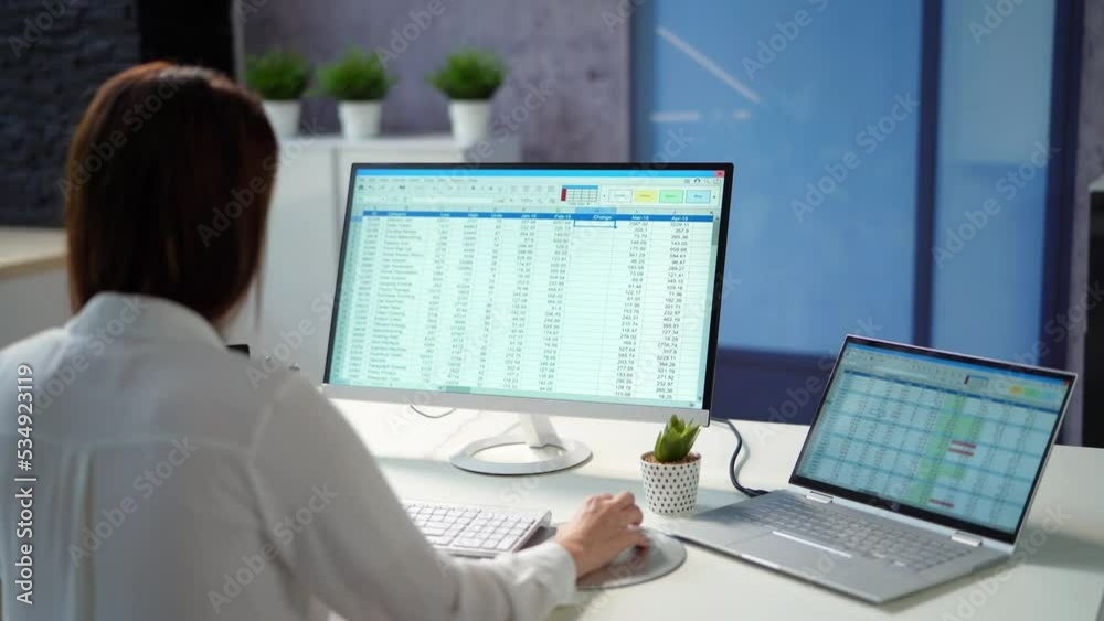 Data Analyst Woman Using Spreadsheet