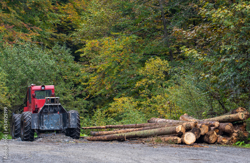A forestry tractor in the forest photo