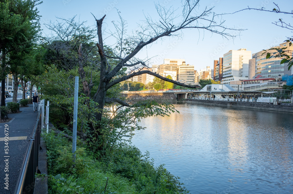 Fototapeta premium 千代田区立外濠公園
