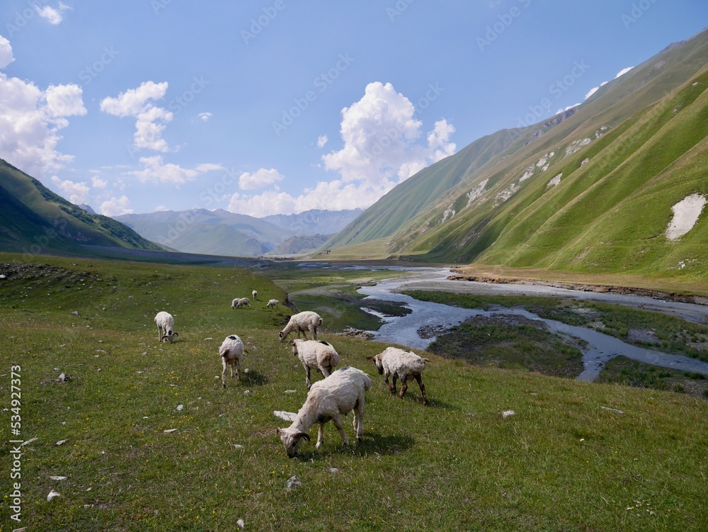 Panoramic view of breathtaking Truso valley in Kazbegi region, Caucasus mountains, Georgia.