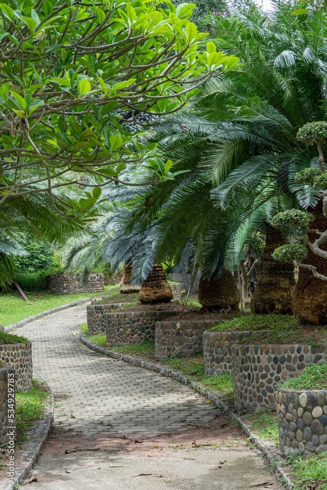 Beautiful curved stone path in the garden under the crowns of trees and palms. Deserted city park early in the morning.