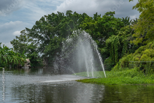 Fountains of water in the pond of the city park against the backdrop of tropical trees and a cloudy sky.
