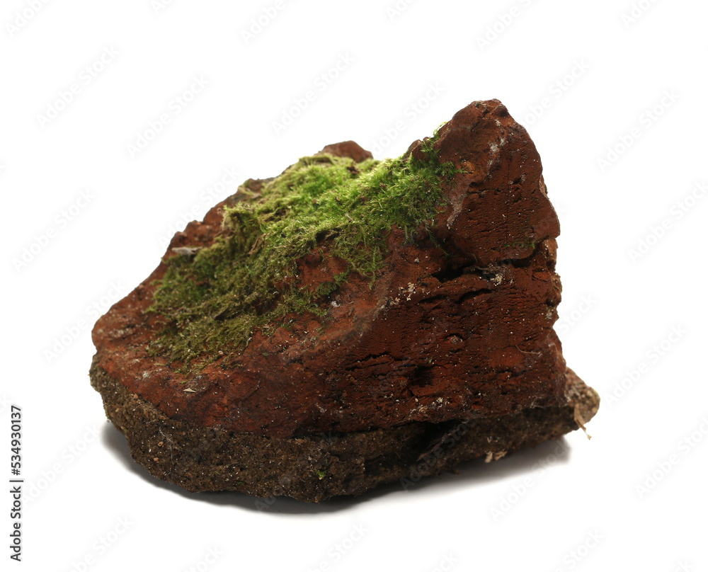 Green moss on old red brick isolated on white  
