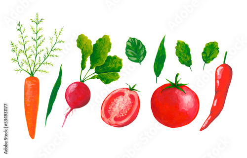 Vegetables hand drawn illustration isolated on transparent background. Botanical clip art collection. Gouache garden plants clip art set.