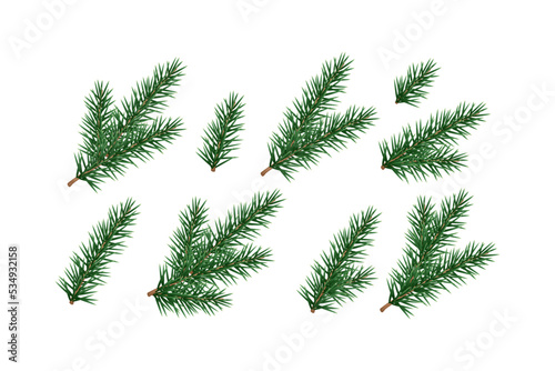Set of fir branches, pine, conifer. Isolated Christmas, New Year tree decorative elements. Vector illustration.
