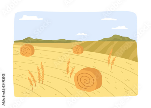 Agriculture and farming, village landscape with dry hay bales and straw. Farmland business and work at field. Countryside job growing crops. Vector in flat style