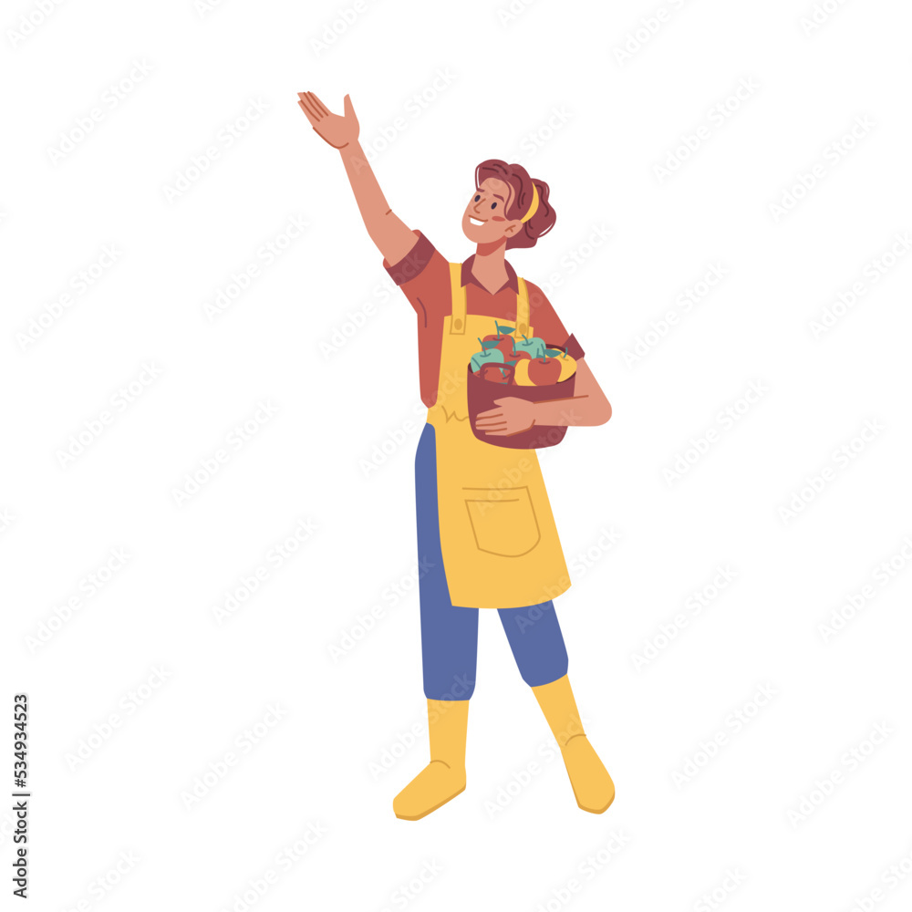 Harvesting woman at farm picking ripe apples in basket or box. Isolated female character working in agricultural business. Vector in flat cartoon style