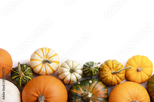 Pumpkins on white background