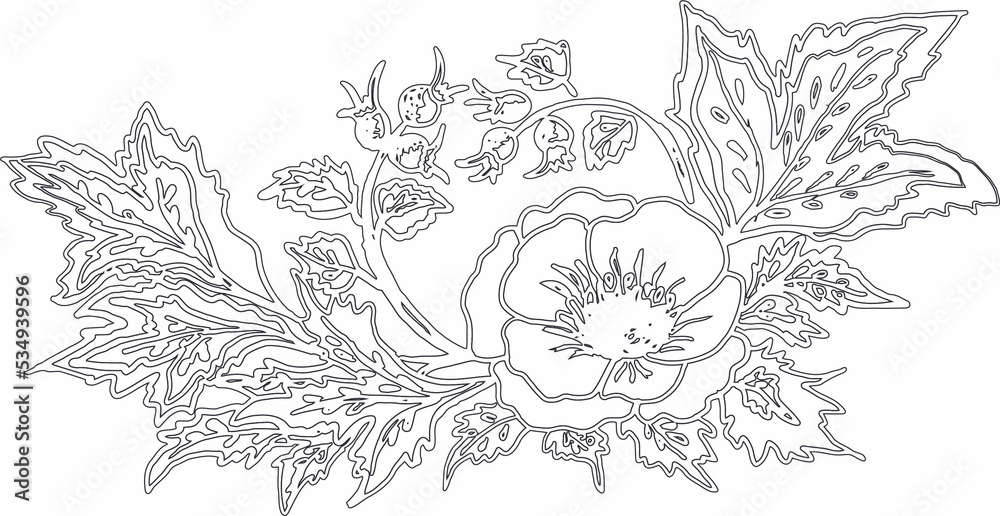 Fototapeta premium rose flower nature