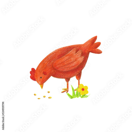 Ginger hen illustration isolated on transparent background. Hand drawn with color pencils chick, flower, grass, seeds card, poster. Cartoon domestic bird hen eating seeds.