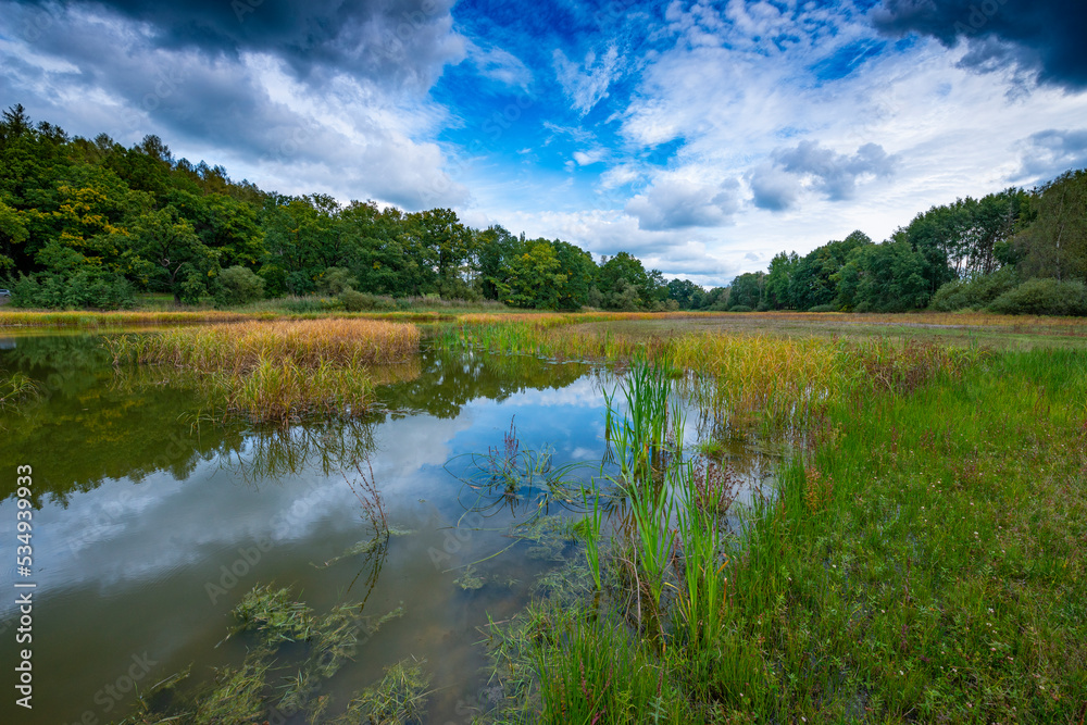 beautiful South Bohemian landscape, pond with reeds, Czech Republic, Europe beautiful South Bohemian landscape, pond with reeds, Czech Republic, Europe