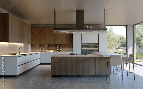 Fotografie 3d rendering of a white and wood modern minimal kitchen with an island	and a vie
