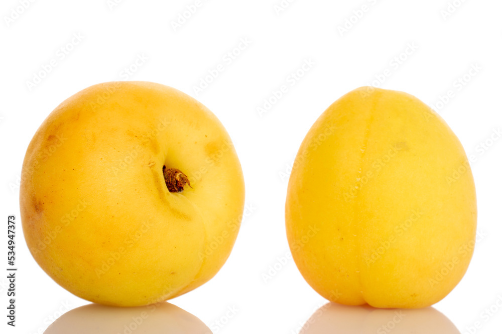 Two organic pineapple apricots, close-up, isolated on white.