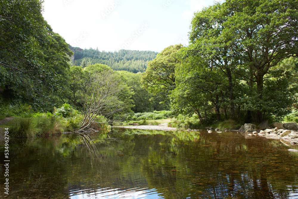 Majestic forest round water cascade of Powerscourt Waterfall, the highest waterfall in Ireland. Famous tourist attractions in co. Wicklow, Ireland. Majestic forest round water cascade of Powerscourt Waterfall, the highest waterfall in Ireland. Famous tourist attractions in co. Wicklow, Ireland.