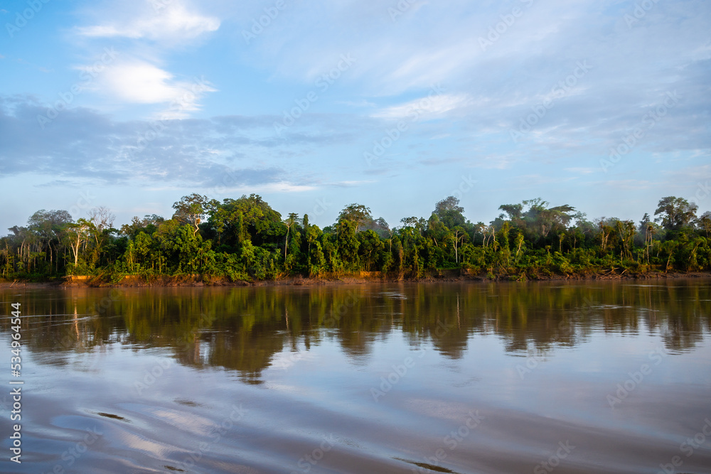 Obraz premium riverbank view of peruvian amazonian jungle