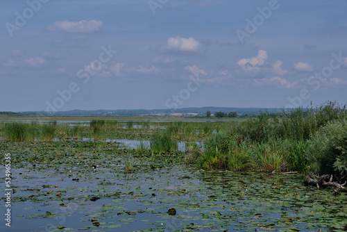 Druzno Lake in summer © Aleksander Bolbot