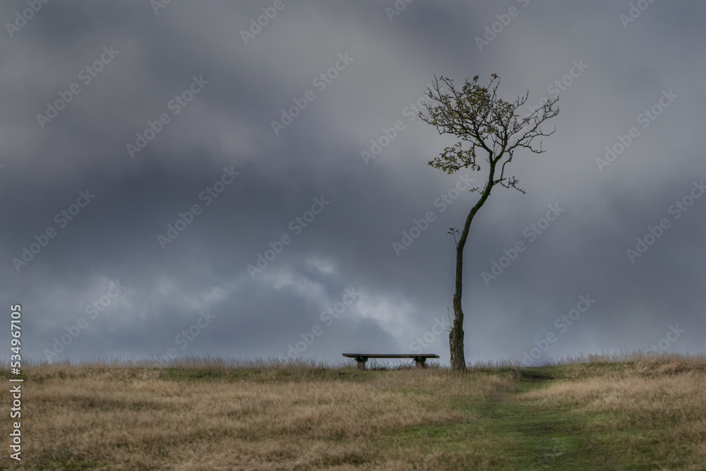 Dark image of a bench and thin tree on a grass hilltop with dark cloudy background
Dark image of a bench and thin tree on a grass hilltop with dark cloudy background