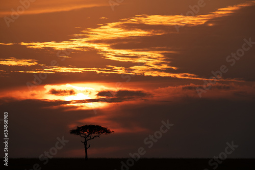 A beautiful landscape with dramatic sky during Sunset at Masai Mara