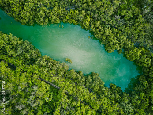 Obraz na płótnie aerial drone view of river lake forest top down