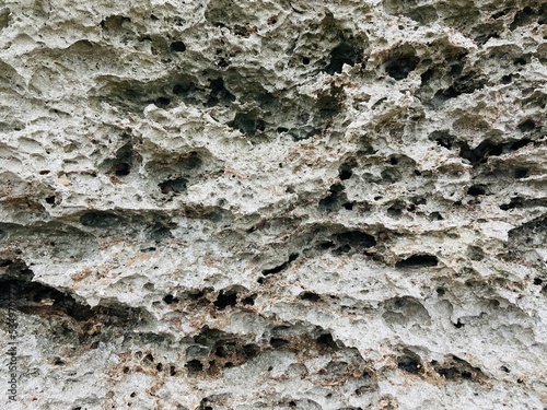 ゴツゴツしたサンゴ岩の岩肌