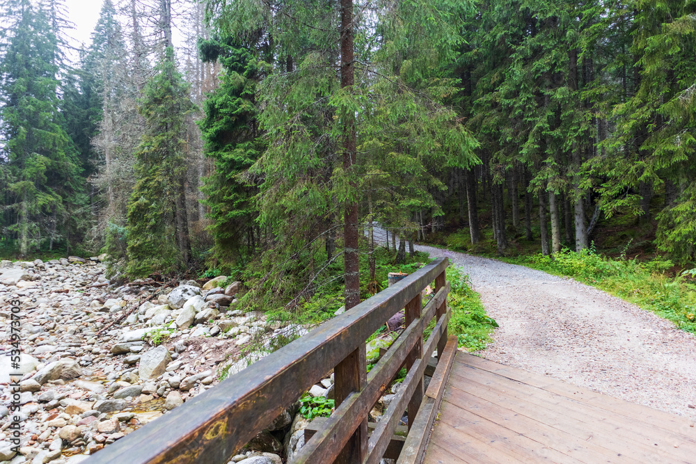 Wooden hiking trail in the middle of the mountain forest and surrounded by thick green forest and gray rocks